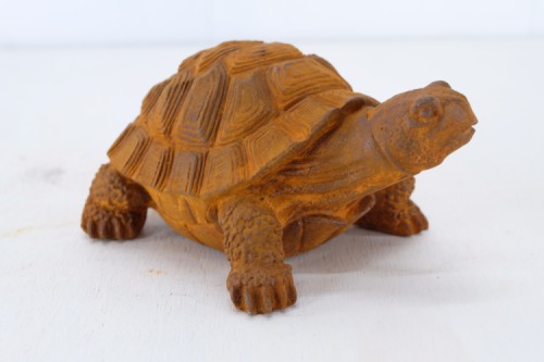 Schildpad